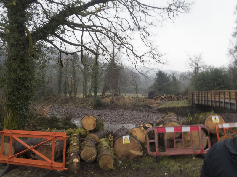 Photograph of Walking Route - Image 5