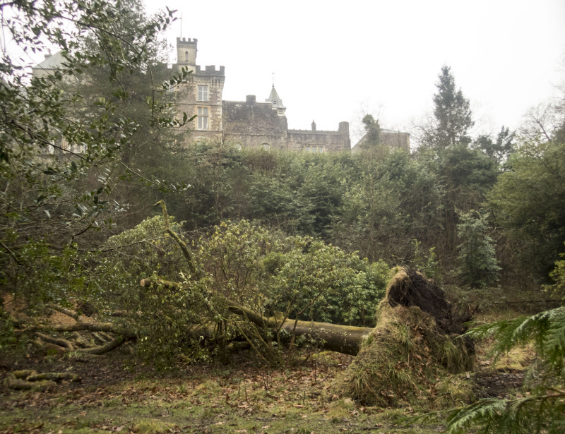 Photograph of Walking Route - Image 6