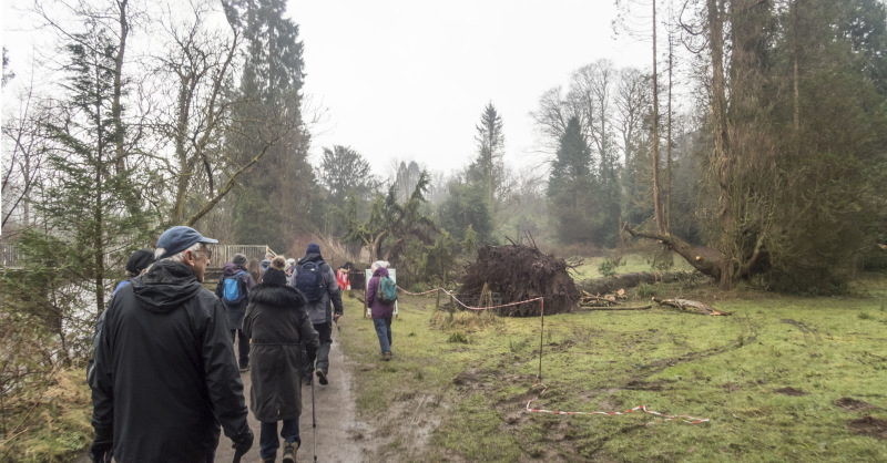 Photograph of Walking Route - Image 7