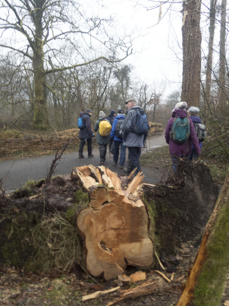 Photograph of Walking Route - Image 13