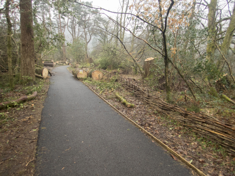 Photograph of Walking Route - Image 14