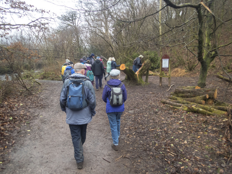 Photograph of Walking Route - Image 15