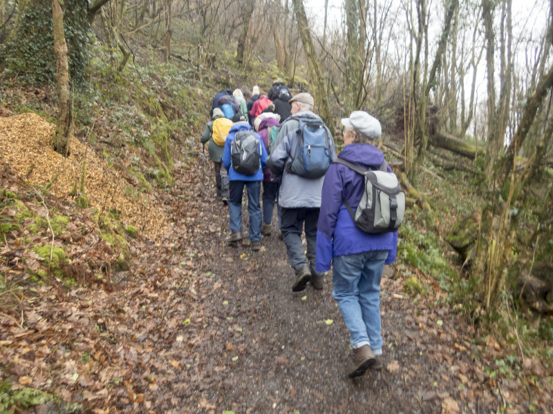 Photograph of Walking Route - Image 16