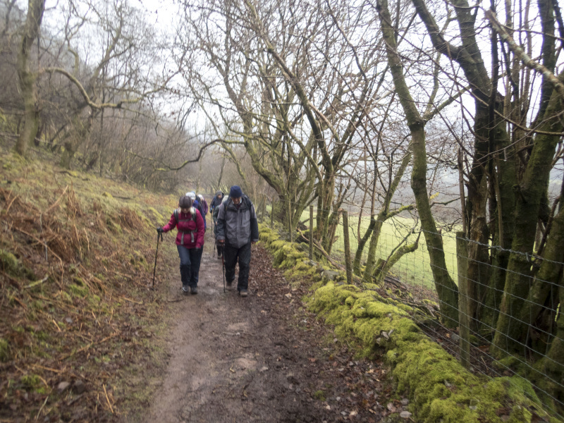 Photograph of Walking Route - Image 19