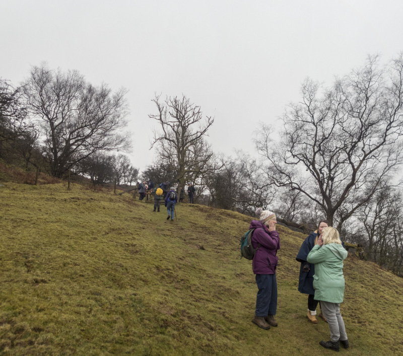 Photograph of Walking Route - Image 33