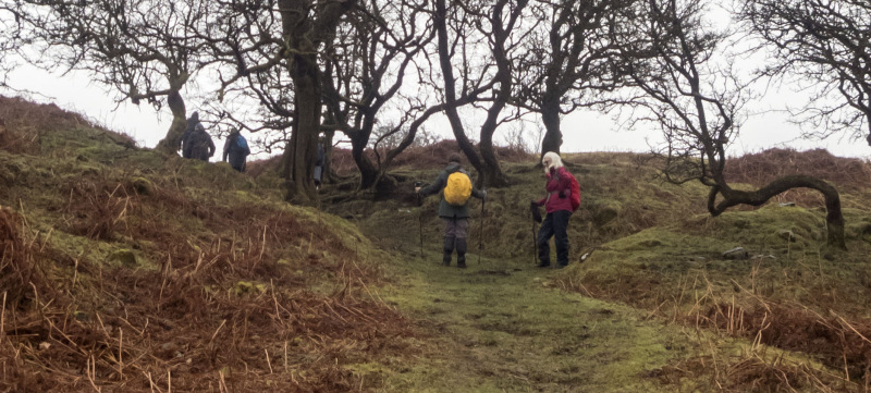 Photograph of Walking Route - Image 34
