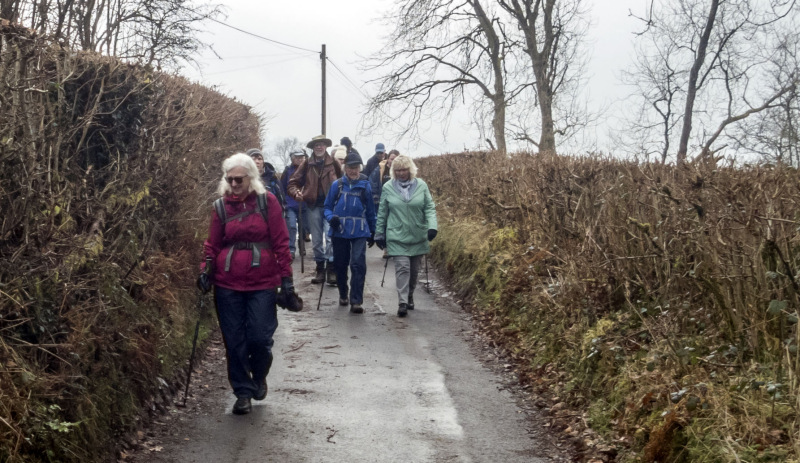 Photograph of Walking Route - Image 43
