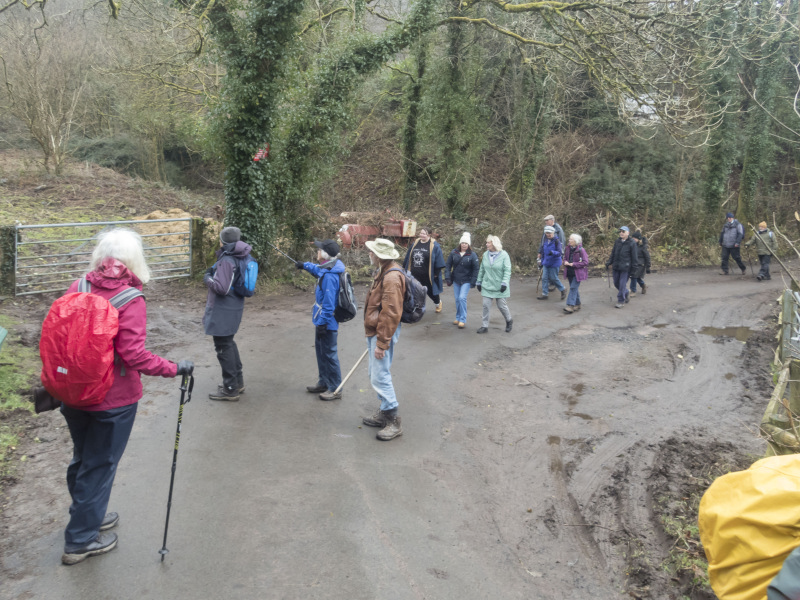 Photograph of Walking Route - Image 44