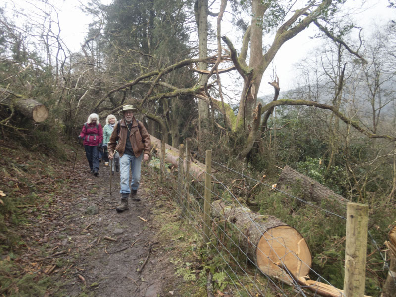 Photograph of Walking Route - Image 48