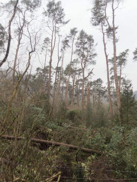 Photograph of Walking Route - Image 49
