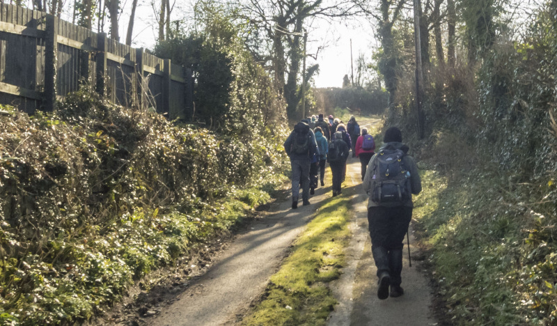 Photograph of Walking Route - Image 2