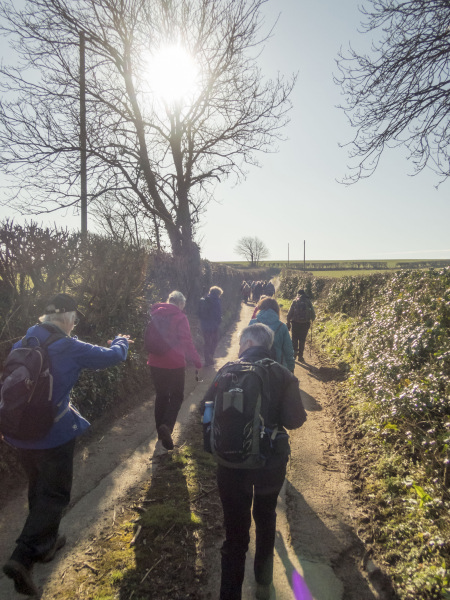 Photograph of Walking Route - Image 3