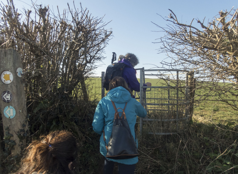 Photograph of Walking Route - Image 5