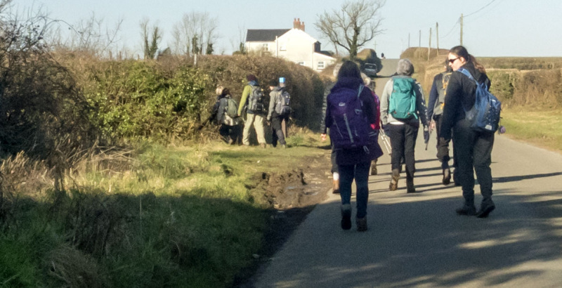 Photograph of Walking Route - Image 11