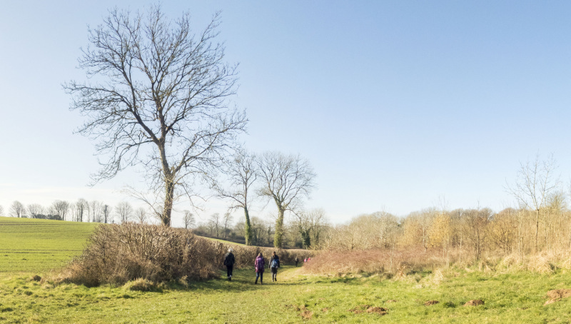 Photograph of Walking Route - Image 13