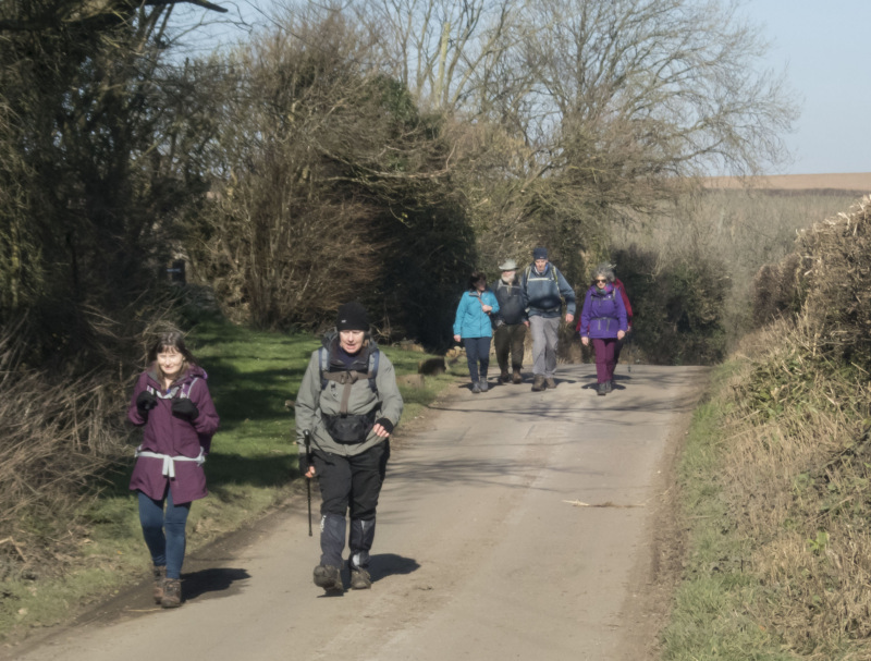 Photograph of Walking Route - Image 14