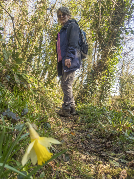 Photograph of Walking Route - Image 18