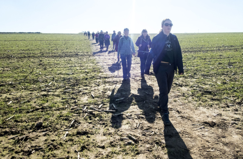 Photograph of Walking Route - Image 29