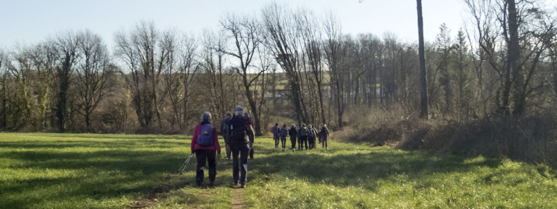 Photograph of Walking Route - Image 37