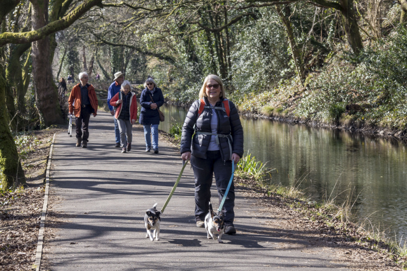Photograph of Walking Route - Image 10