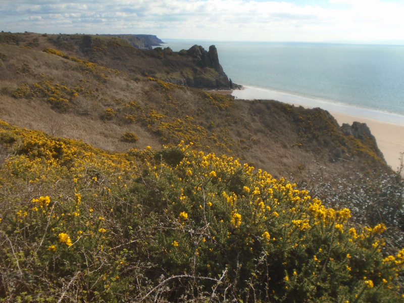 Photograph of Walking Route - Image 7