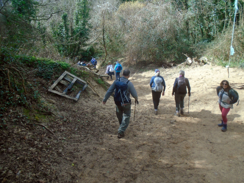 Photograph of Walking Route - Image 9