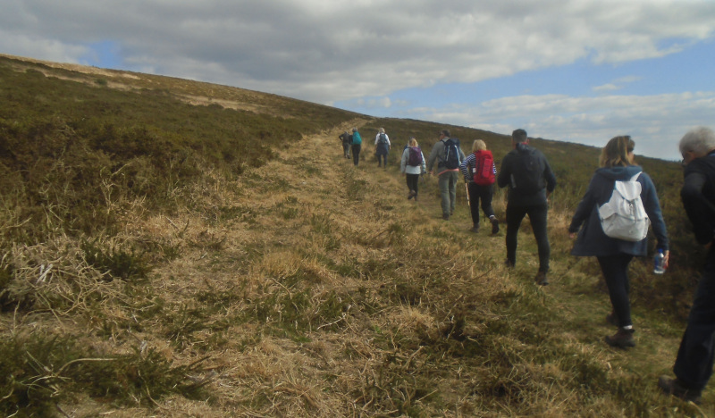 Photograph of Walking Route - Image 11