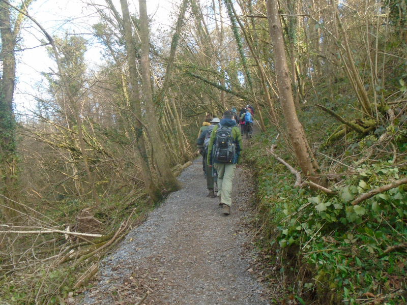 Photograph of Walking Route - Image 23