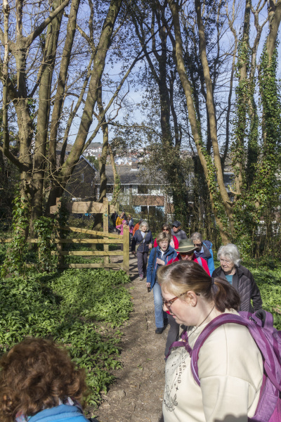 Photograph of Walking Route - Image 5