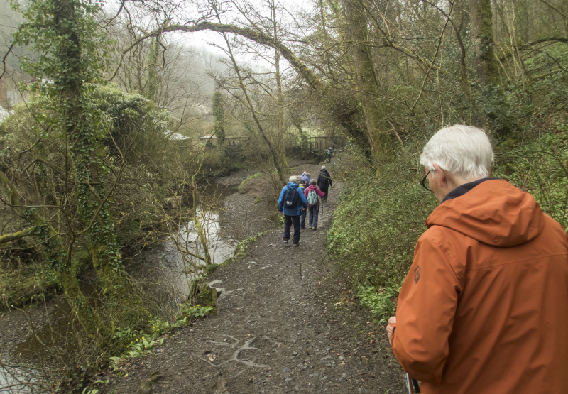 Photograph of Walking Route - Image 11