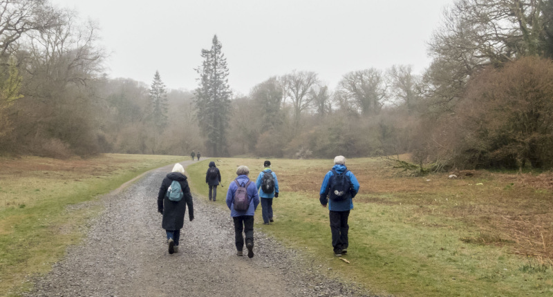 Photograph of Walking Route - Image 12