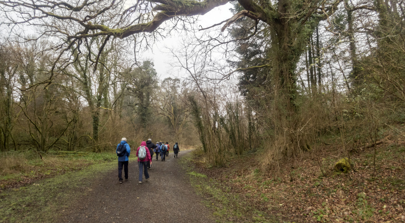 Photograph of Walking Route - Image 13