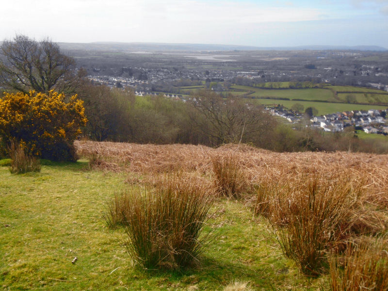 Photograph of Walking Route - Image 1
