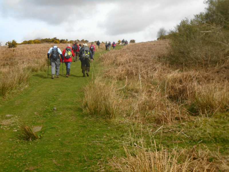 Photograph of Walking Route - Image 2