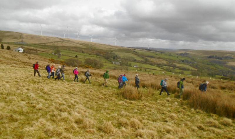 Photograph of Walking Route - Image 7