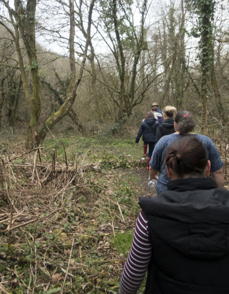 Photograph of Walking Route - Image 3