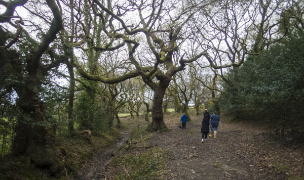 Photograph of Walking Route - Image 5