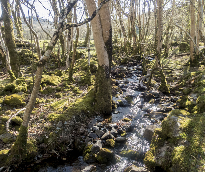 Photograph of Walking Route - Image 4