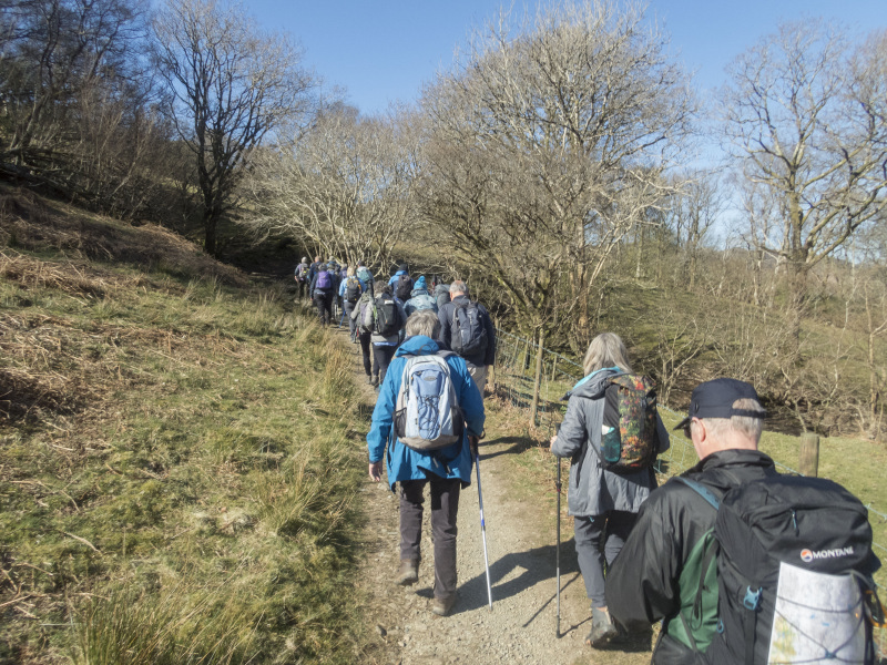 Photograph of Walking Route - Image 5