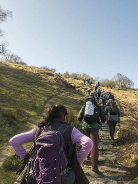 Photograph of Walking Route - Image 7
