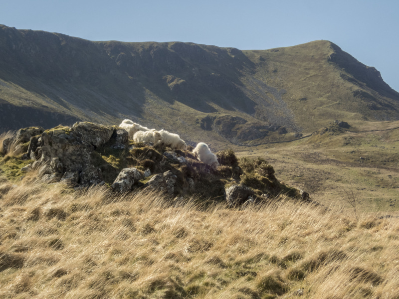 Photograph of Walking Route - Image 21