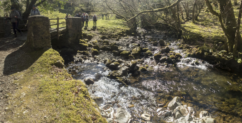 Photograph of Walking Route - Image 29
