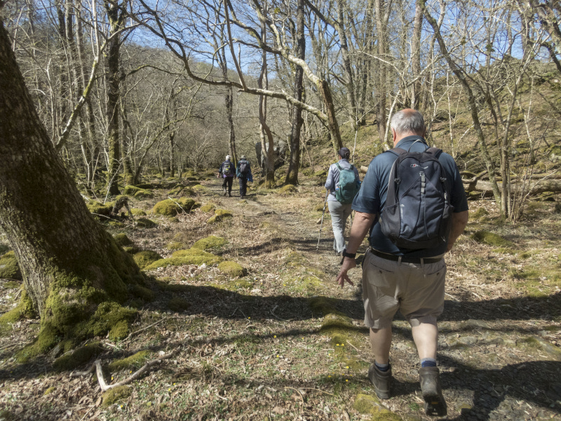 Photograph of Walking Route - Image 33