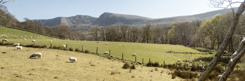 Photograph of Walking Route - Image 34