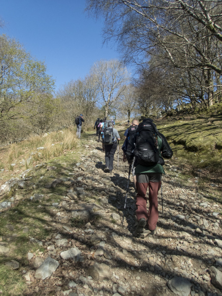 Photograph of Walking Route - Image 36