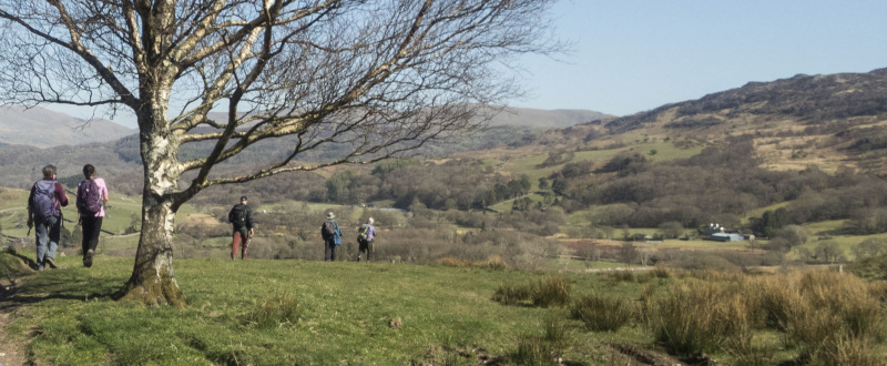 Photograph of Walking Route - Image 43