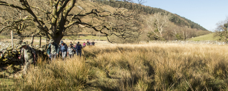 Photograph of Walking Route - Image 52