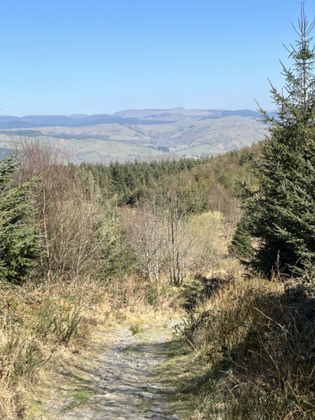 Photograph of Walking Route - Image 8