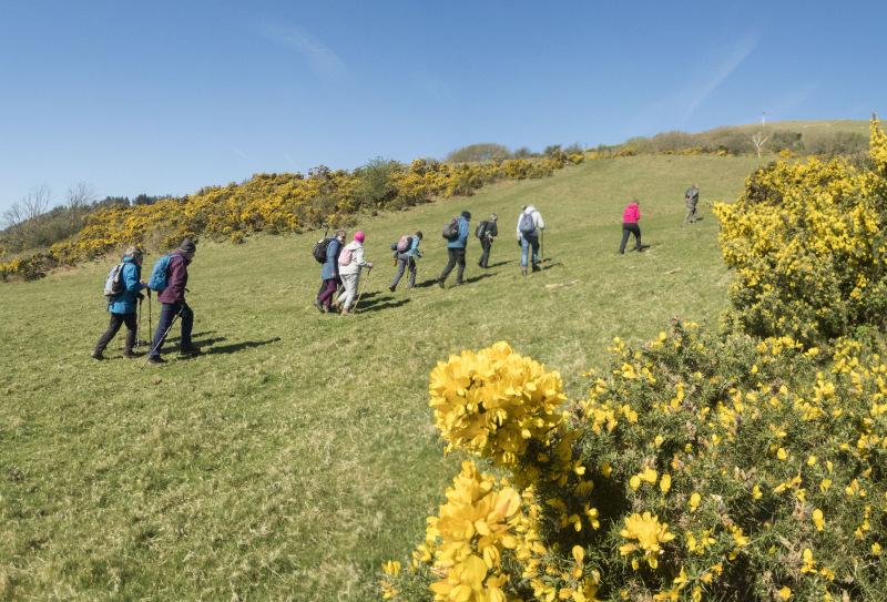 Photograph of Walking Route - Image 19