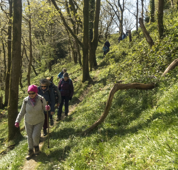 Photograph of Walking Route - Image 21
